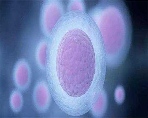 江苏代孕公司哪家更靠谱-江苏代孕龙凤胎案背景