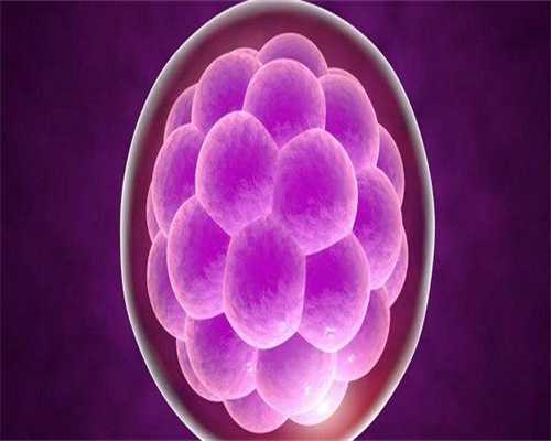 2026湖北省人民试管婴儿成功率一览，附试管生推荐