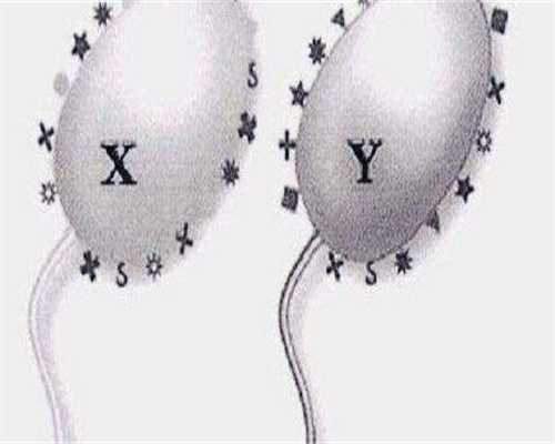 南京正规医院能供卵吗，私人医院供卵试管