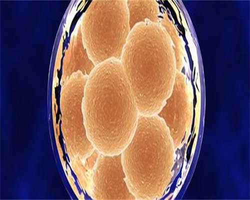 江苏供卵机构名单，2026江苏借卵试管医院排名？附江苏试管医院一览？