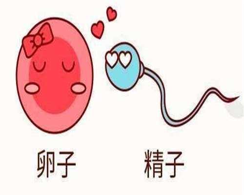 无锡找代怀，无锡那边做试管婴儿多少钱?