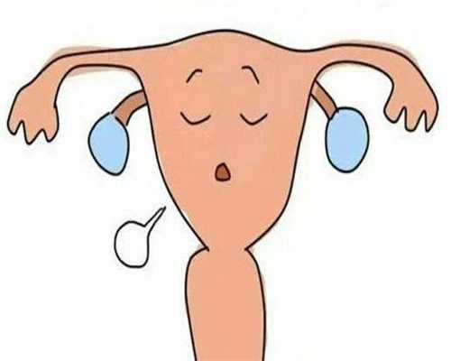 卵泡监测是什么-卵泡监测报b超告如何看