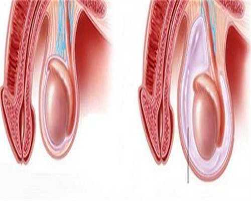 江苏代生男孩咨询，江苏隆力奇品牌介绍