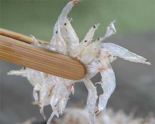 预防月经不调的关键六大因素及其应对措施