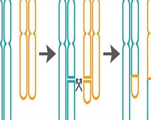 江苏省人民医院有卵子库吗？附2026江苏供卵生男孩医院前十榜单
						