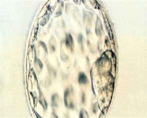 西北妇幼医院做试管多少钱？