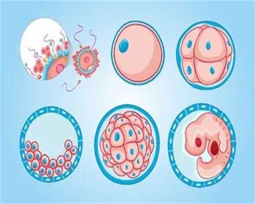 供卵捐卵试管有哪些因素影响胚胎着床？