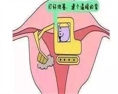 江苏代生价格是多少