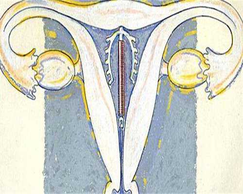 专业试管供卵-试管婴儿取卵太多可以移植吗（试管取了24个卵子能不能移植鲜胚）