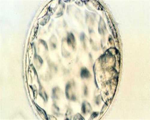 无锡哪里代生，无锡试管婴儿社保能不能报销，无锡904医院