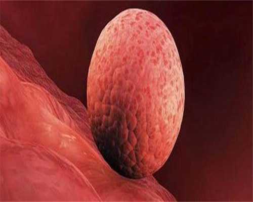 宿迁三代试管包生男孩价格-江苏三代试管医院