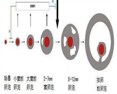 江苏供卵中心价格，江苏做供卵试管婴儿的医院有哪些？江苏供卵试管医院列表