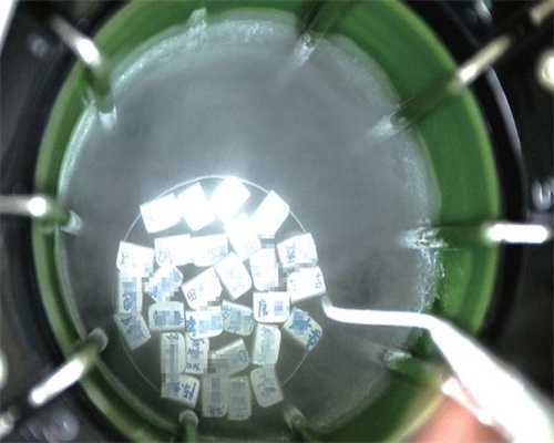 囊胚培养半个月了结果还没出来，囊胚培养不成功的原因？