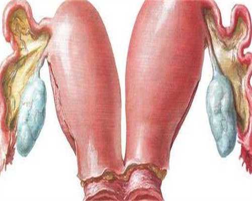 连云港助孕骗子公司有哪家(江苏连云港不孕不育医院)