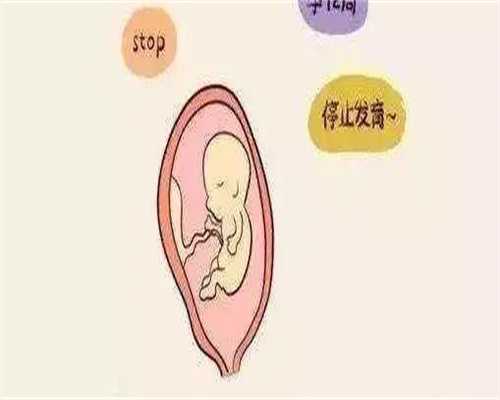 如何对平衡易位的囊胚进行筛查？平衡易位囊胚筛查的具体步骤