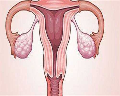 江苏代生网，2026江苏代怀生男孩医院费用多少分析-附代怀生子机构推荐