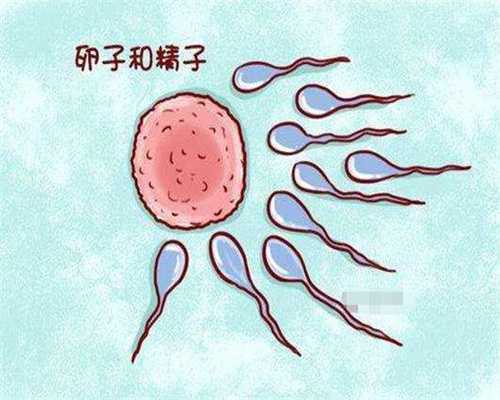 南京鼓楼医院生殖科可以供卵吗，南京鼓楼医院有供卵吗？