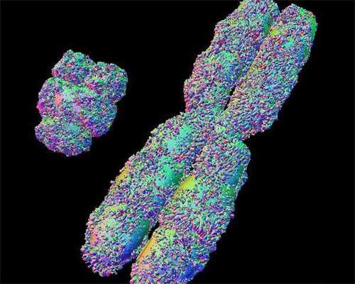 江苏代怀孕生子，江苏三代试管最新列表