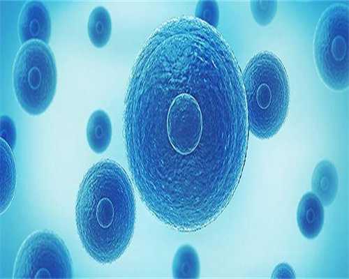 试管婴儿与亲生关系的解读与思考